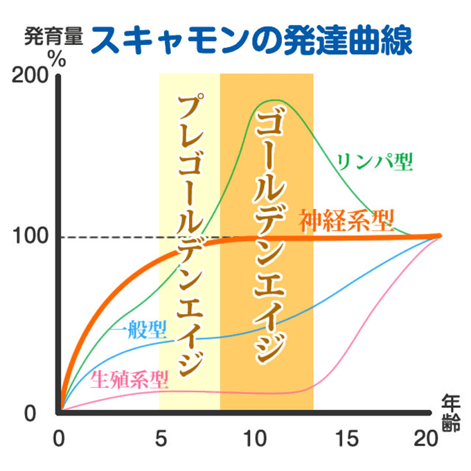 スキャモンの発達曲線グラフ