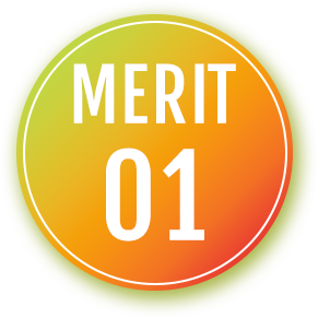merit01