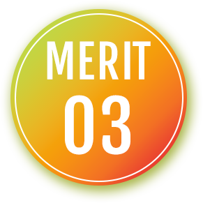 merit03