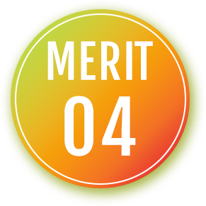 merit04