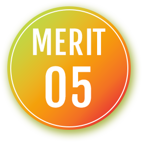merit05